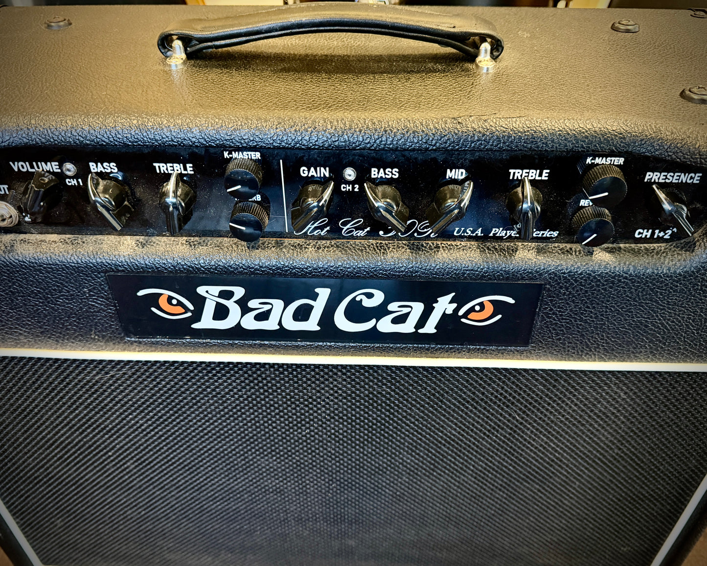 Bad Cat Hot Cat 30R Combo Amp w/ Celestion Gold G12 (2022)