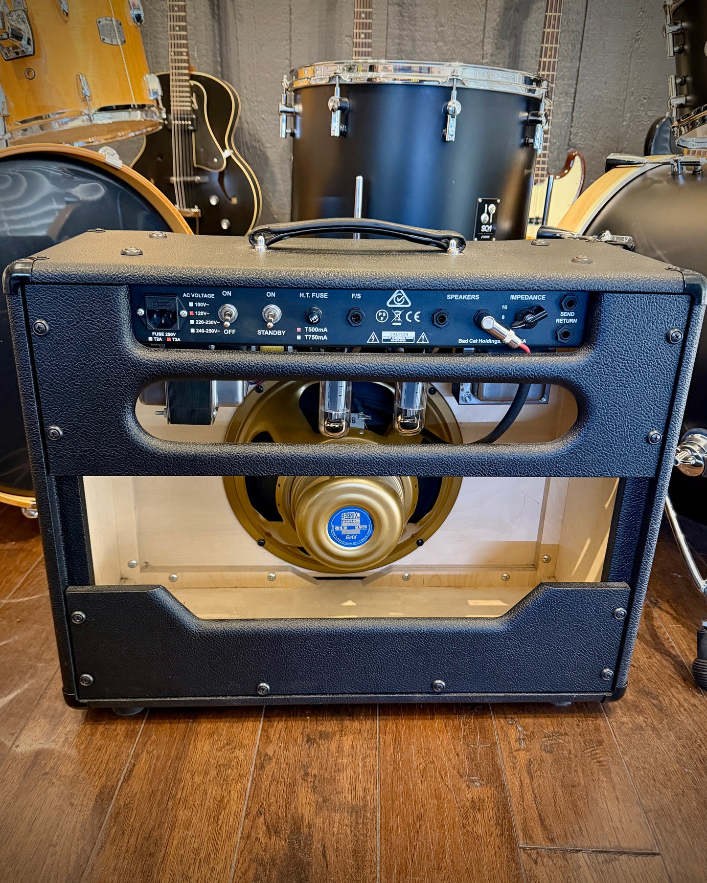 Bad Cat Hot Cat 30R Combo Amp w/ Celestion Gold G12 (2022)