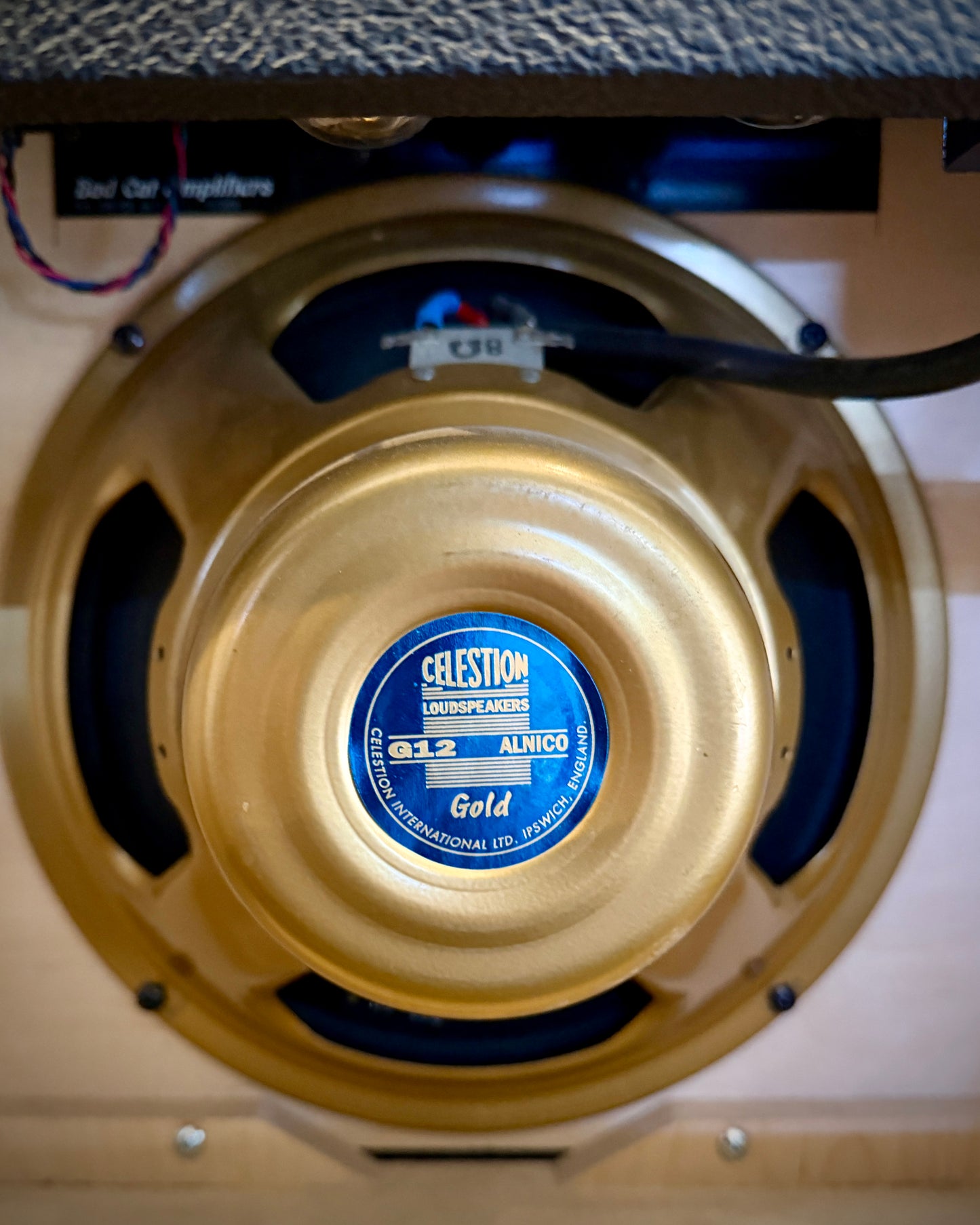 Bad Cat Hot Cat 30R Combo Amp w/ Celestion Gold G12 (2022)