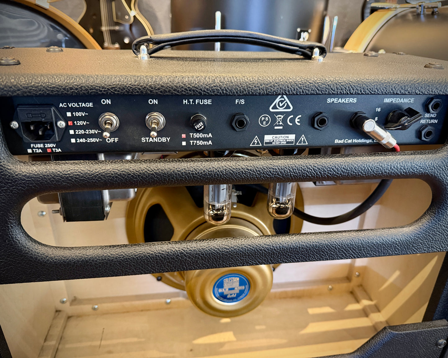 Bad Cat Hot Cat 30R Combo Amp w/ Celestion Gold G12 (2022)