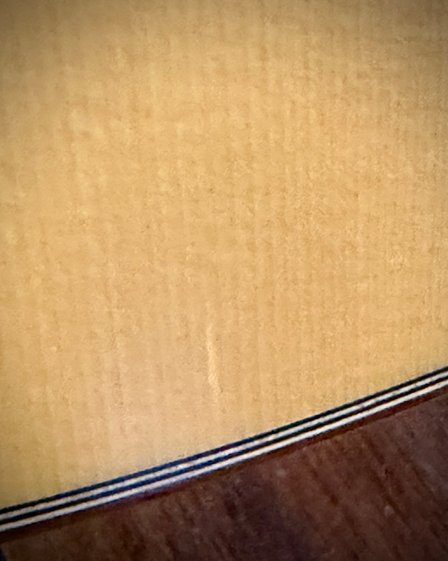 Joan Cashimira Model 144 Classical Nylon Guitar 2003 w/ HSC