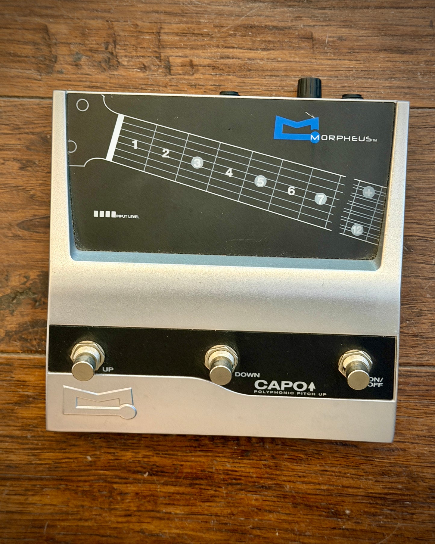 Morpheus Capo Polyphonic Pitch Pedal
